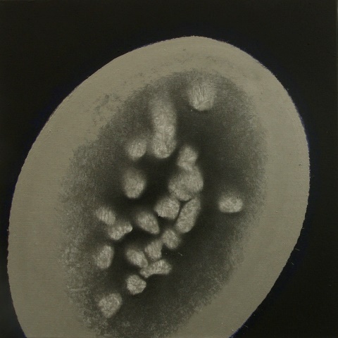 Organic growth,Acrylic on canvas,50x50cm,2015-2016